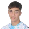 Гайзлер Ніко