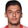 Dell'Erba Давиде