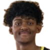 Сміт Tylon