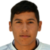 Baez Wilfrido