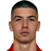 Gudelj Stefan