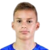 Babic Andro