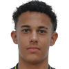 Joao Araujo