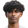 Sheik Али