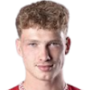 Masek Dominik