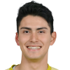 Pinto Noguchi Амато