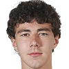 Гиоев Alan