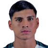 Vaca Pablo