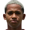 Gustavo Wallison