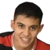Монрой Gaston