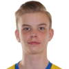 Севарссон Вальдімар
