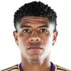 Cartagena Wilder