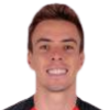 Luan Polli