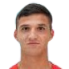 Летай Елвіс