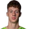 Rolleke Hugo