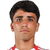 Феррейра Tomas Castro da Mata