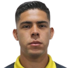 Flores Alonso