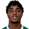 Heittor Vinicius