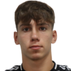 Grujic Небойша