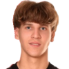 Pribisic Матей