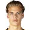 ван дер Вілт Joel