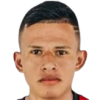 Ayovi Caicedo J. J.