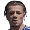 Hutchinson Лоренц