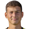 Milojevic Неманья