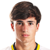 Ribeiro Rodrigo