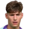 Дольфі Брандо