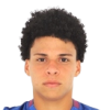 Emerson Urso