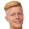 Шершень Михайло