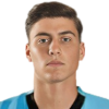 Nespola Manfredi