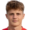 Мор Niklas
