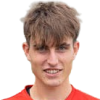 Гюль Emre