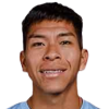 Vaca Moreno Ervin