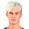 Thiland Herard Робен