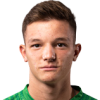 Perkovic Мауро
