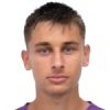 Артнер Давід