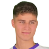 Балінт Гайгер