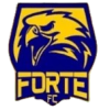 Форте
