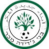 Jadeidi-Makr