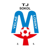 Логотип команды Велке Лосіни