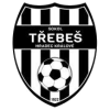 Логотип команды Trebes W