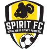 Логотип команды NWS Spirit