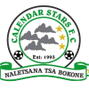 Calendar Stars
