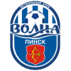 Логотип команды Волна Пінськ