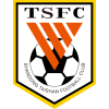Shandong Taishan B