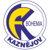 Логотип команды Kaznejov