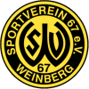 Weinberg W